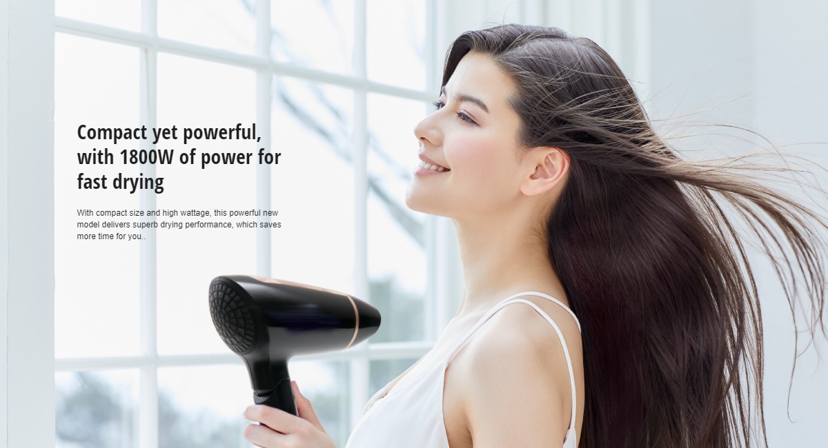 Panasonic 1800W Basic Heat Protection Hair Dryer EH-ND30